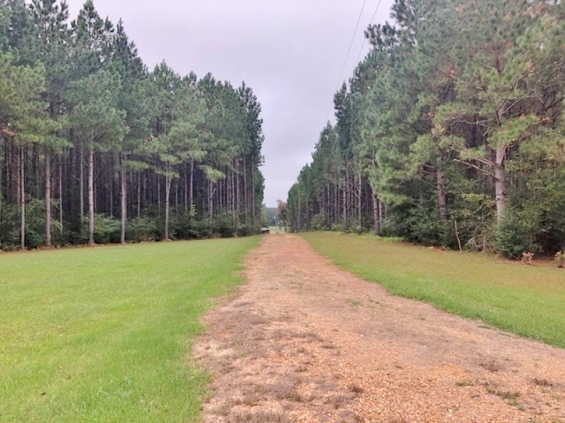 Hunting Land For Sale In Mississippi Pike County Doug Rushing Realty