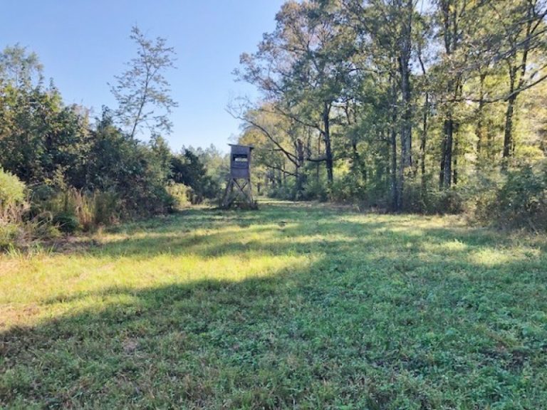 Hunting Land For Sale In Mississippi Pike County Doug Rushing Realty