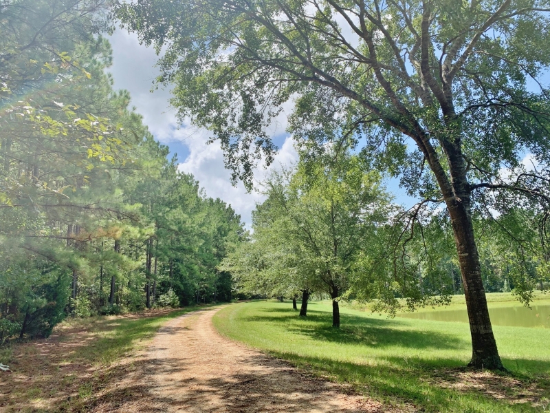 Doug Rushing Realty Land For Sale in Amite County MS Real Estate
