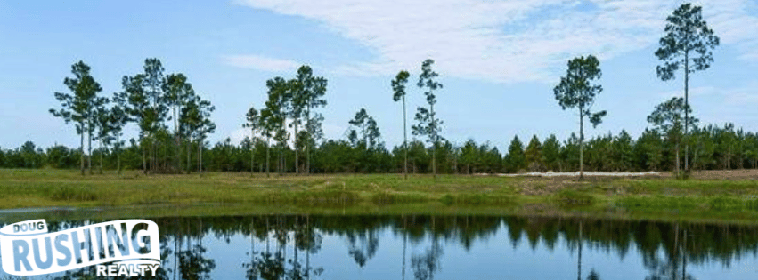 Land-for-Sale-in-Walthall-County-MS
