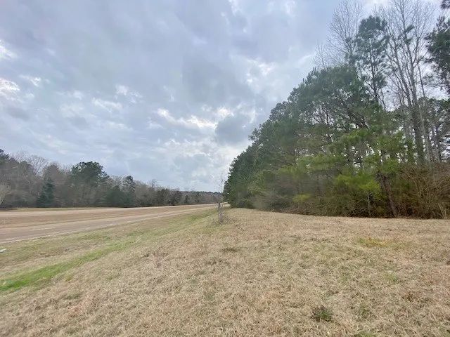 12 acre Commercial Opportunity- Tylertown, MS