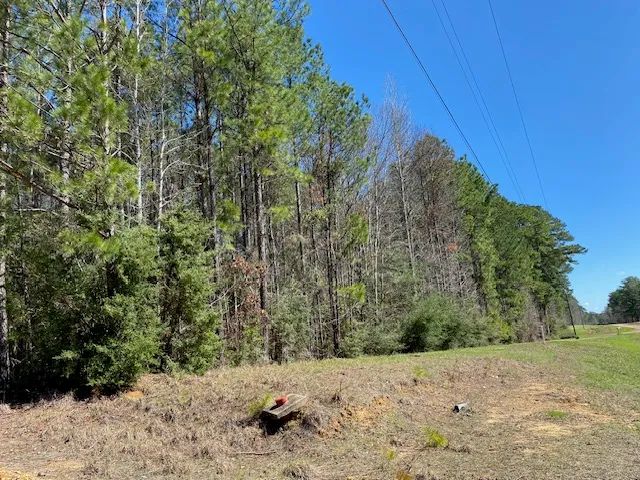 2 Residential Acres Wildwood Trl Hwy 98 | Meadville, Ms 39653