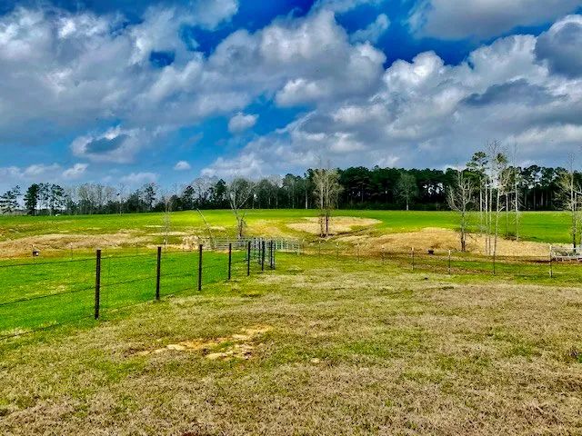 122 acres Improved Pasture Jeff Davis Co. 