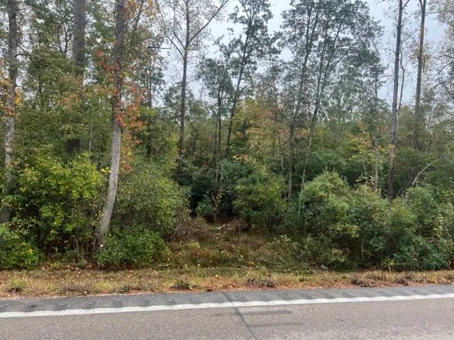 19.4 acres / Patonia Road in City Limits of Lumberton 