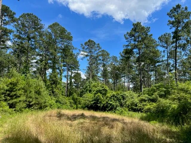 110+/- Acres Sandy Hook, MS 39647