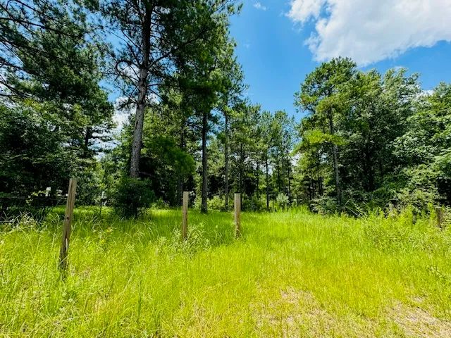 10.61 Acres located on Bill Dier Road in Tylertown, MS