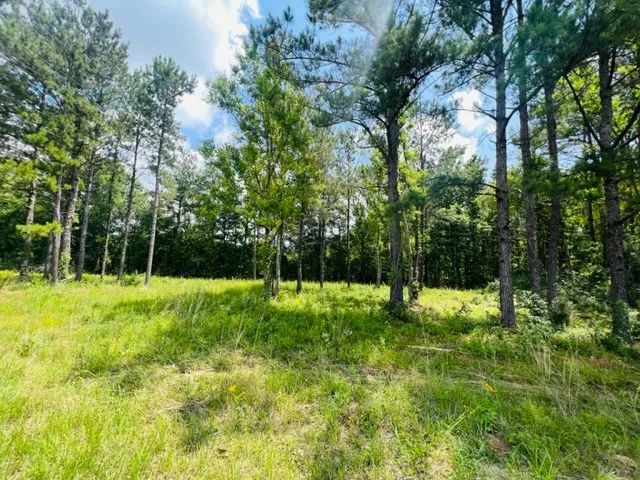 1.9 Acres just out of City Limits in Tylertown, MS 