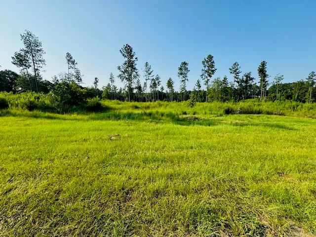 11 Acres located in Warnerton, LA / JS KING ROAD 