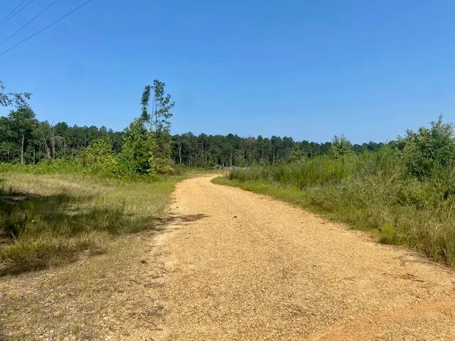 40 Acres on Robert Jones Rd | Summit, MS