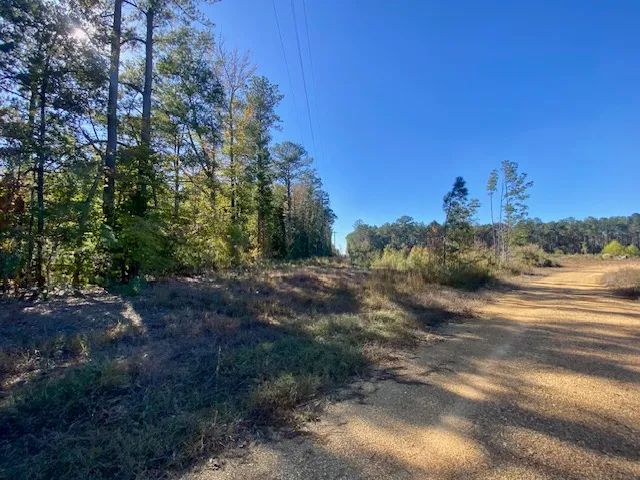 40 Acres on Robert Jones Rd | Summit, MS