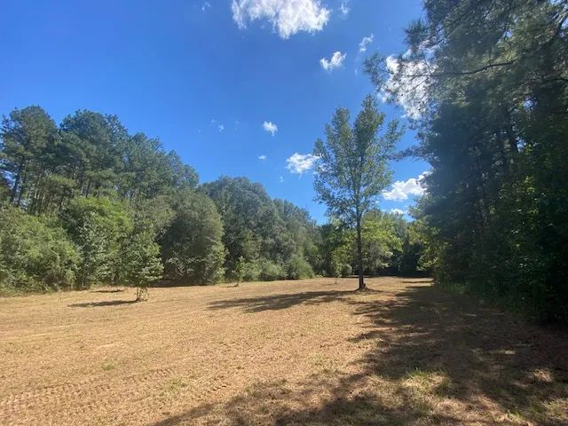 60 acres- Mature Timber- Salem School District