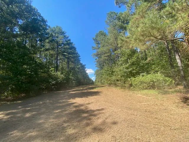 26 acres- Mature Timber- Salem School District