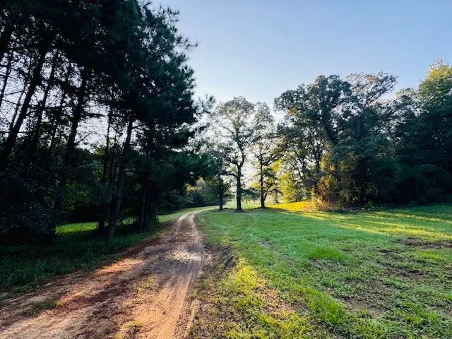 Eclectic Barndominium on 40 gorgeous acres / NPSD/ Pike County/ MS 