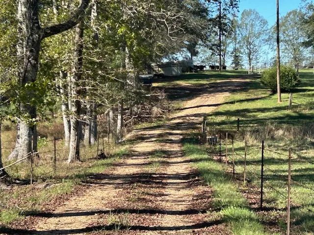 Farmland with 52.81 Acres | Magnolia, MS