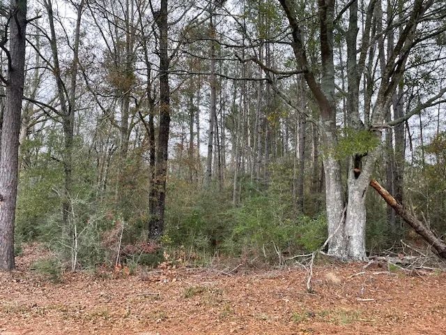 20 acres/ Campbell Rd, Jayess, Ms 39641