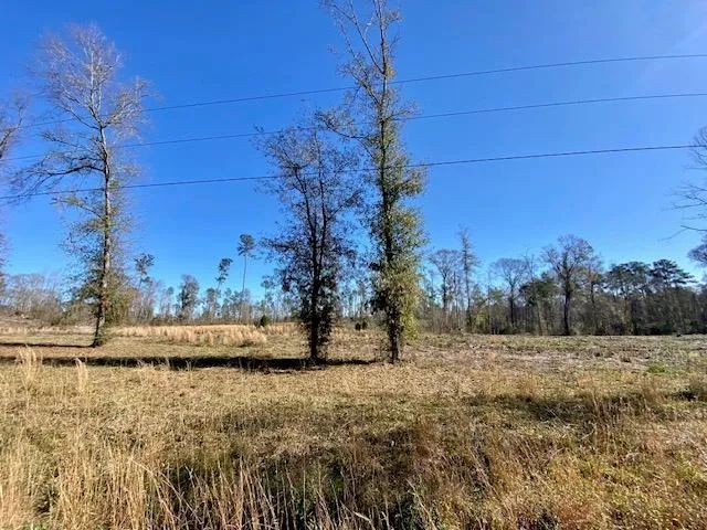 4 Acres on Ole Springs | Summit, MS