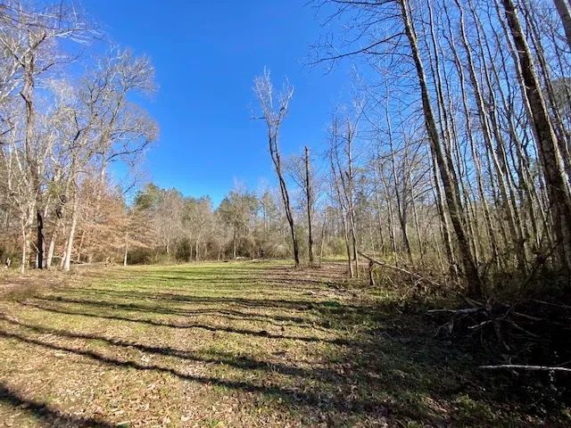 Home on 110 Acres | Amite County, MS