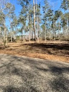 15.4 acres Walthall Co 