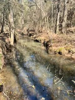 13 acres Walthall Co.
