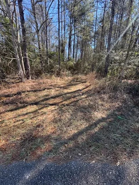 6.33 Acres | Plainview, LA