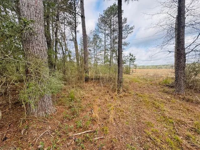 20 Acres South of Columbia, MS 