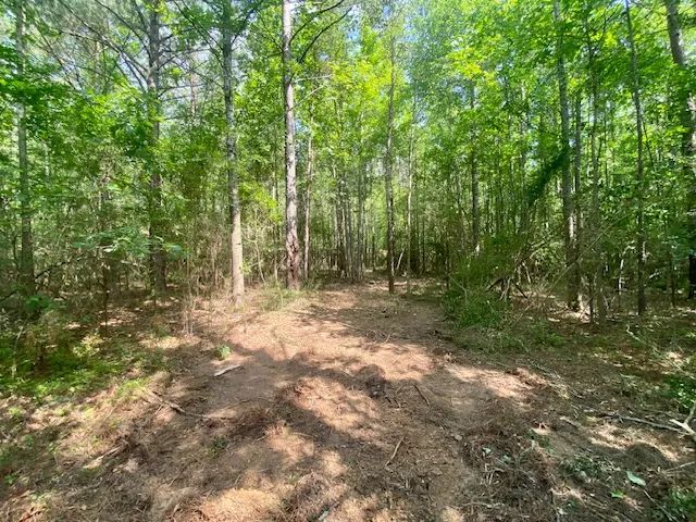 13 acres Primitive Dr SE Lincoln Co. MS