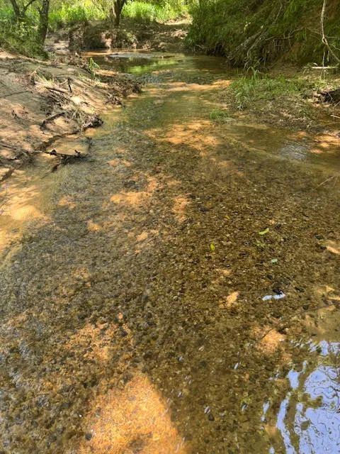 27 acres Williams Road Magnolia MS 