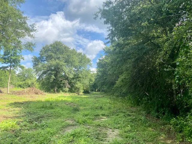 15 acres Williams Road Magnolia 