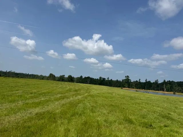 17.68 Acres on Dykes Walthall Rd
