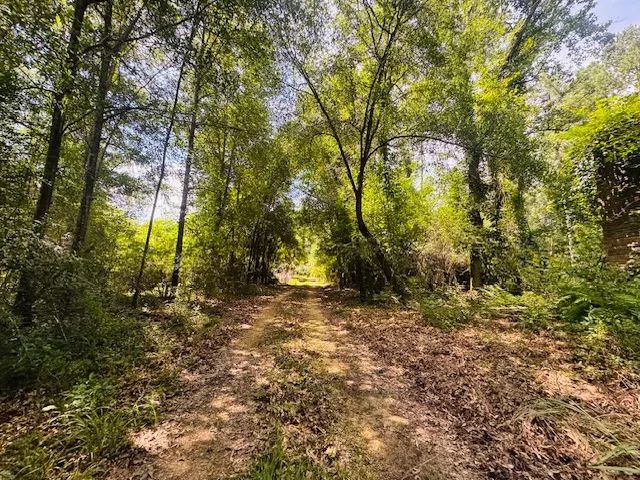 A 34% undivided Interest in 878 Acres | Washington Parish, LA