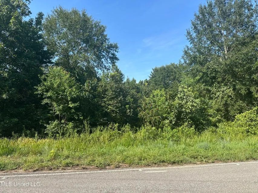 12.95 Acres | Magnolia, MS 