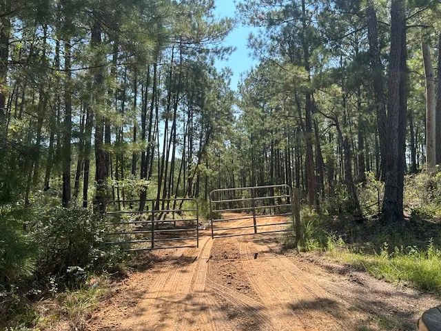 52.84 acres in Magnolia, Mississippi