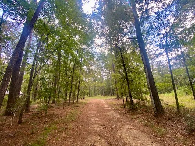 Mobile home & 13.44 acres- Summit, MS
