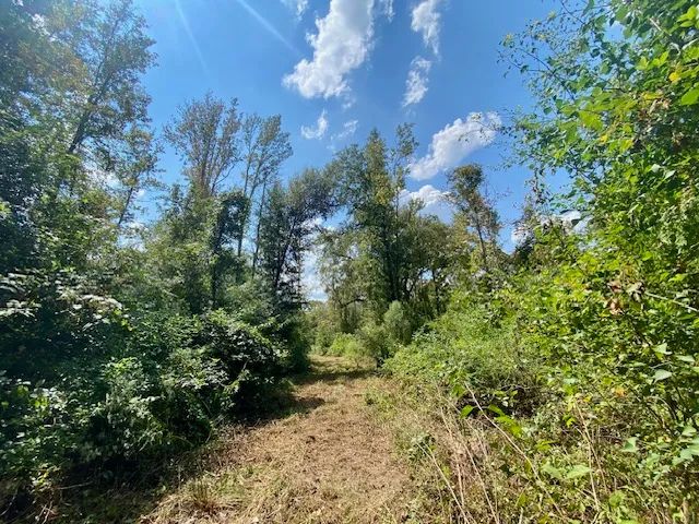 64 acres in Magnolia, Ms