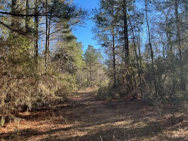 79.17 Acres | McComb Ms