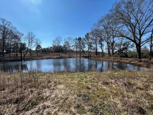 91 Acres | Sandy Hook, MS