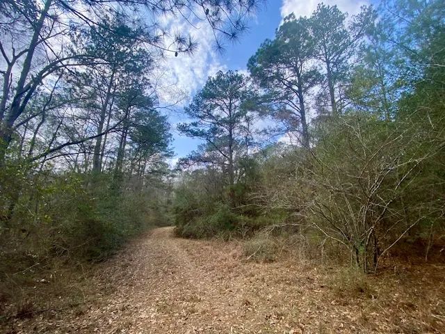 10 Acres| North Pike School District