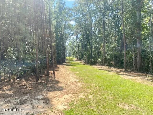10 Acres Mature Timber | Smithdale, MS 