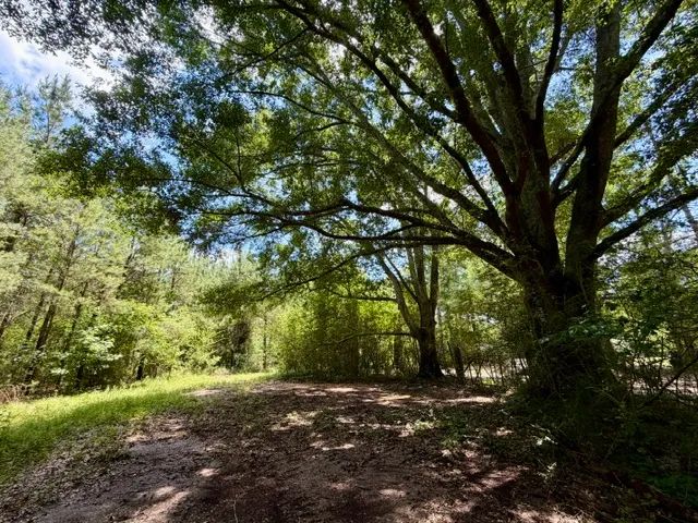 23 Acres | Tylertown, MS