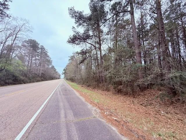 4.5 Acres| Angie| City Limits| LA 