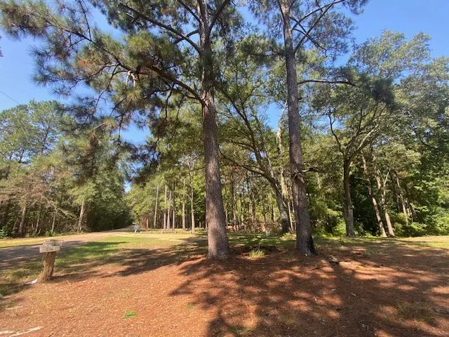 18 Acres w/ Mobile Home| Magnolia, MS
