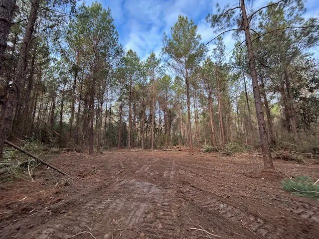 6 acres Irene Rd, Magnolia, Ms 
