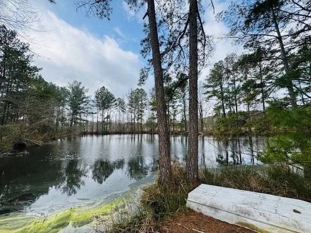 40 Acres on Mount Caramel Church Road | Foxworth, MS