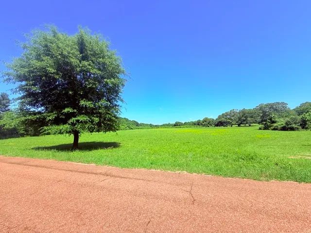 19.63 Acres on Union Church Road | Magnolia, MS 