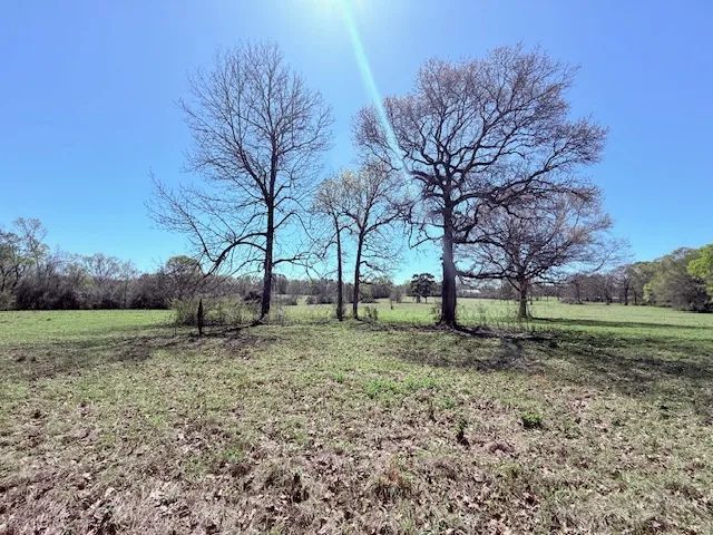 36.29 Acres of Pastureland | Kentwood, LA
