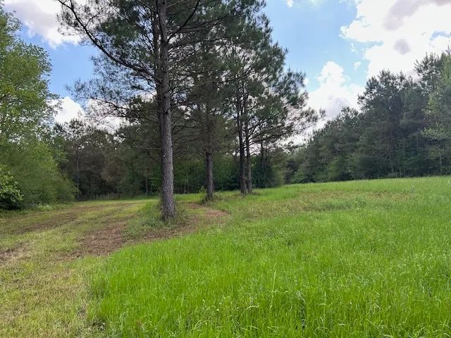 65 Acres| Tylertown, MS