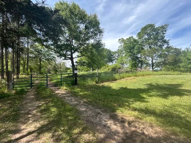 19 Acres | Lawrence County, MS
