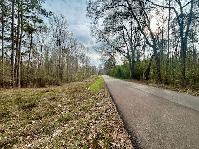 18.7 acres | Lee Rd, SE, Bogue Chitto, MS