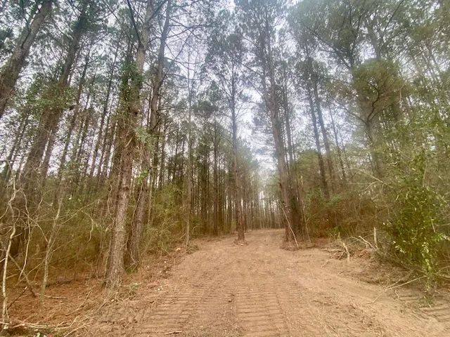 30 Acres | Marion County, MS