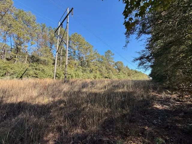 17.41 Acres| Hammond Sylvest Road| Franklinton | LA 